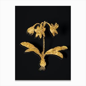 Vintage Netted Veined Amaryllis Botanical in Gold on Black n.0282 Canvas Print