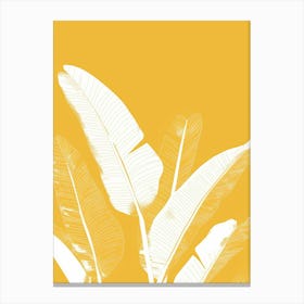 Banana Leaves 25 Canvas Print