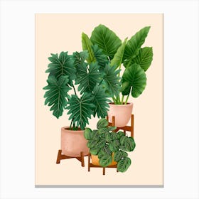 Indoor Plants 1 Canvas Print