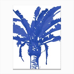 Palm Tree 4 Canvas Print