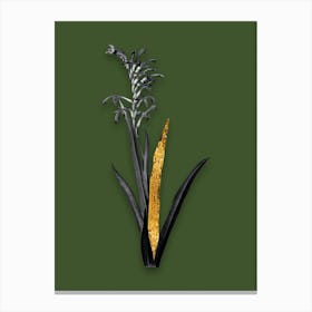 Vintage Antholyza Aethiopica Black and White Gold Leaf Floral Art on Olive Green n.1191 Canvas Print