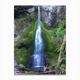 Waterfall in Washington Canvas Print