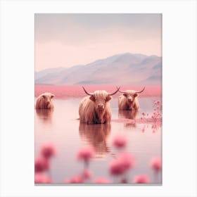 Highland Cows In The River Pink Realistic Photography  2 Canvas Print