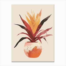 Bromeliad Plant Minimalist Illustration 4 Canvas Print