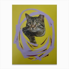 Curiosity Kill The Cat Wall Art Canvas Print