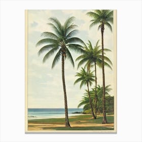 Pearl Beach Australia Vintage Canvas Print