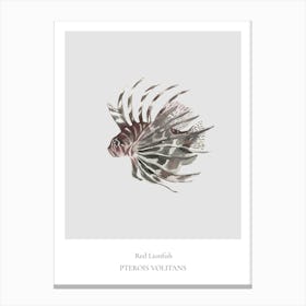 Lionfish Canvas Print