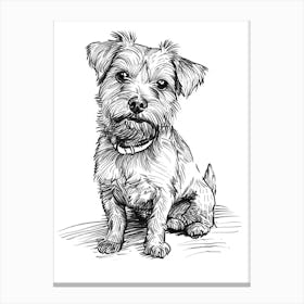 Norfolk Terrier Dog Line Sketch 2 Canvas Print