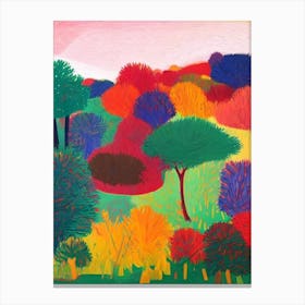Andasibe Abstract Colourful Canvas Print