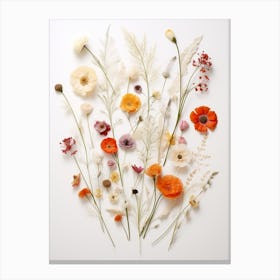 Pressed Flower Botanical Art Wildflowers 9 Canvas Print