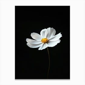 White Flower On Black Background 6 Canvas Print