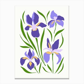 Purple Iris Canvas Print