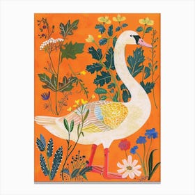 Spring Birds Swan 4 Canvas Print
