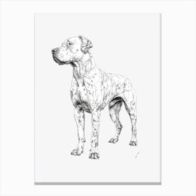 Dogo Argentino Dog Line Sketch 2 Canvas Print