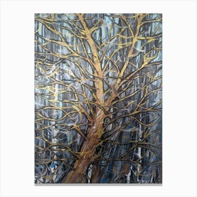 Bare Tree Canvas Print