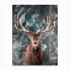 Deer In The Snow Canvas Print