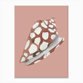 Pink Shell Canvas Print