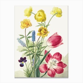 Bouquet Of Tulips Vintage Floral Painting Canvas Print