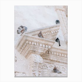 Pigeons On The Church Canvas Print