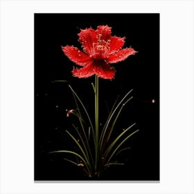 Red Flower On Black Background Canvas Print