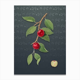 Vintage Cherry Plum Botanical on Slate Gray Pattern n.0336 Canvas Print