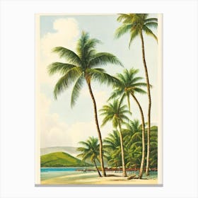 The Baths Beach British Virgin Islands Vintage Canvas Print