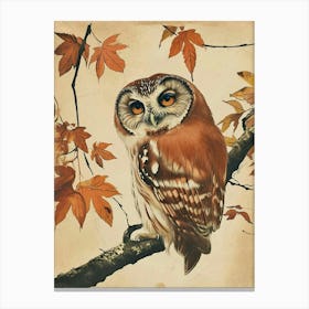 Northern Saw Whet Owl Vintage Illustration 2 Canvas Print