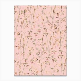 Native Themeda Grass Pattern On Light Pink Canvas Print