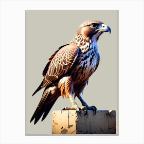 The Hawk Canvas Print