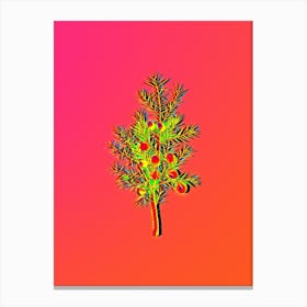 Neon Common Juniper Botanical in Hot Pink and Electric Blue n.0460 Canvas Print