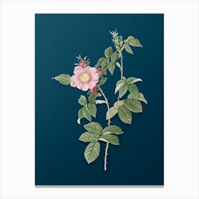Vintage Big Flowered Dog Rose Botanical Art on Teal Blue Canvas Print