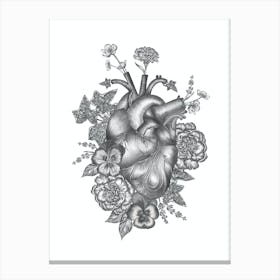 Anatomical Heart Black White Canvas Print