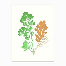 Parsley Spices And Herbs Minimal Line Drawing 3 Canvas Print