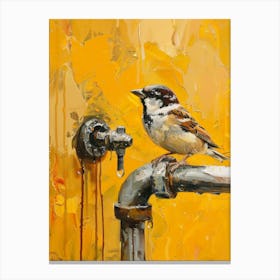 Bird On A Faucet Canvas Print