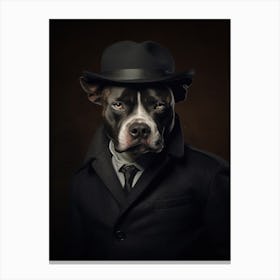 Gangster Dog Staffordshire Bull Terrier Canvas Print