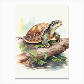 Basking Turtle Canvas Print