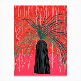 Pink And Red Plant Illustration Ponytail Palm 5 Canvas Print