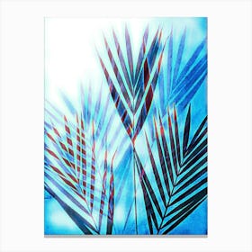 Blue and white Palm Leaves Canvas Print