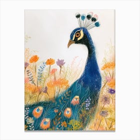 Peacock In The Meadow Sketch 1 Canvas Print