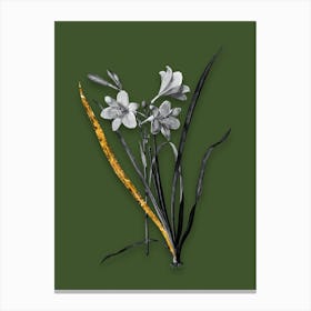 Vintage Daylily Black and White Gold Leaf Floral Art on Olive Green n.0842 Canvas Print