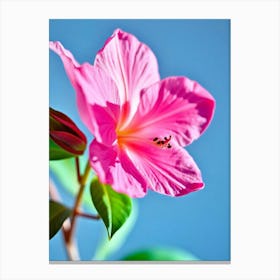 Hibiscus Flower 1 Canvas Print