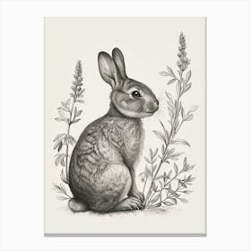 English Silver Blockprint Rabbit Illustration 1 Canvas Print