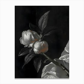 Peony Canvas Print