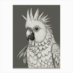 Cockatoo 6 Canvas Print