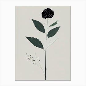 Elderberry Herb Simplicity Canvas Print