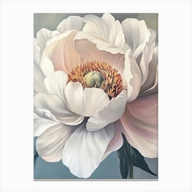 White Peony 2 Canvas Print