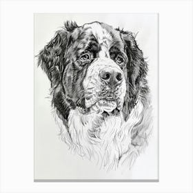 Bernese Mountain Dog Line Sketch 4 Canvas Print