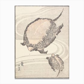 Sayama Ga Ike Pond In Musashi Province (1817), Katsushika Hokusai Canvas Print