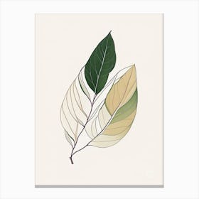 Olive Leaf Contemporary Canvas Print