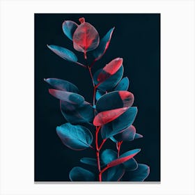 Red Leaves On A Black Background Canvas Print
